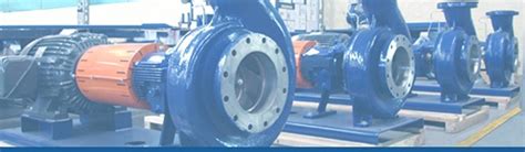 Centrifugal Pump Egypt|Ruhrpumpen Group Website .